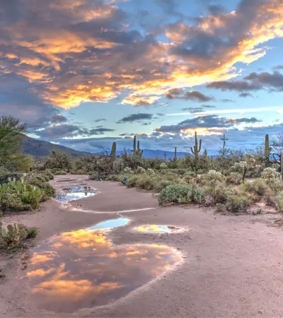 house swap in arizona