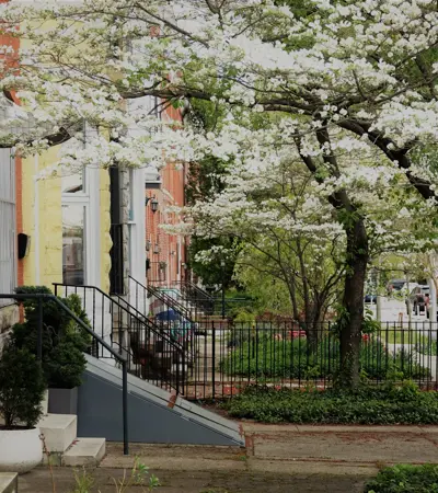 house swap in baltimore