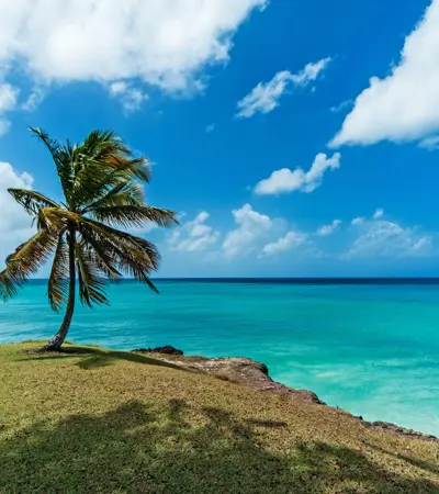 house swap in barbados