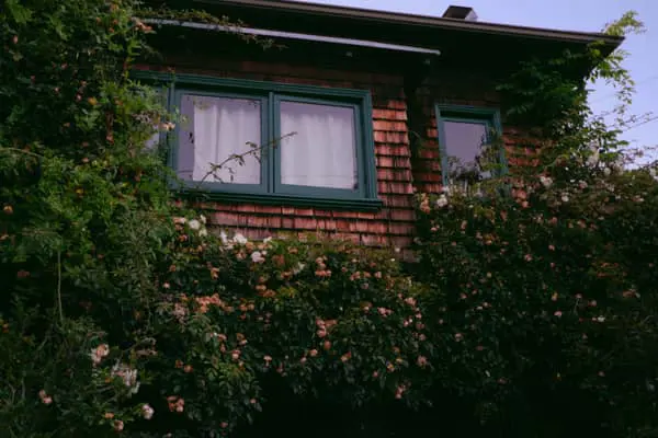 Home Swap Berkeley - Why Berkeley Wants More Than a Hotel Room