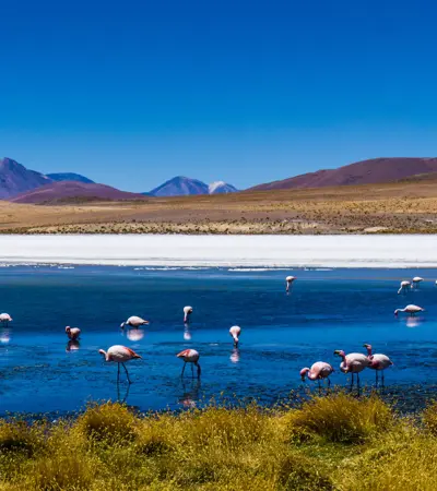 house swap in bolivia