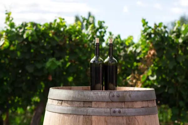 Home Swap Brno - Go Wine Tasting in the Moravian Wine Region
