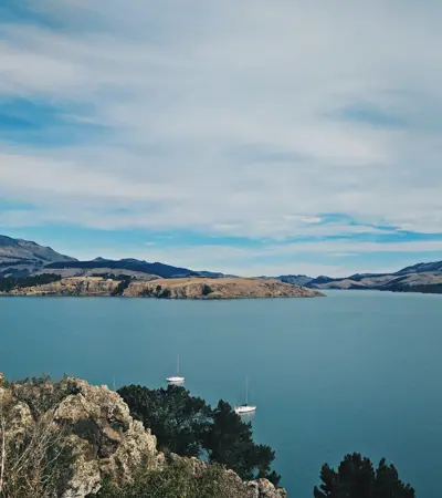 house swap in christchurch