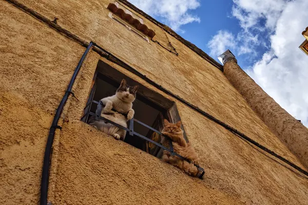 Home Swap Corsica - Embrace the Mediterranean Lifestyle