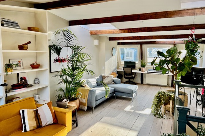 Cozy apartment in city - 1