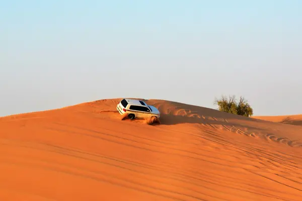 Home Swap Dubai - What to Explore When You’re Not Working