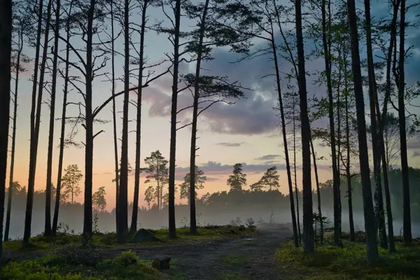 Home Swap Estonia - 🇪🇪 Unveiling Estonia's Charms