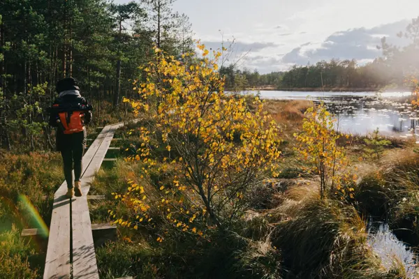 Home Swap Estonia - Balancing Work and Exploration