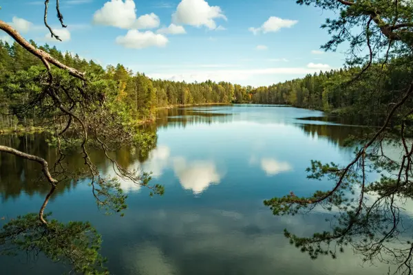 Home Swap Finland - Embracing the Northern Climate