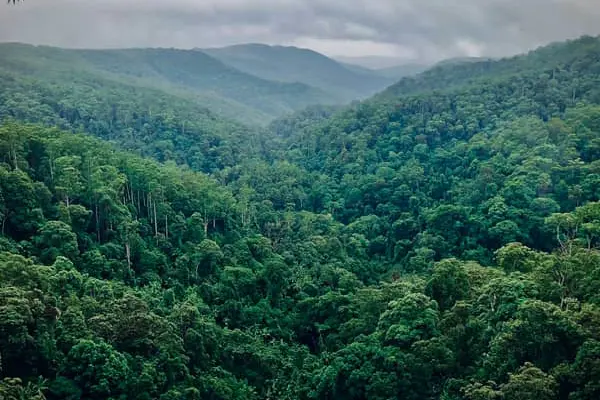 Home Swap Gold Coast - Heat, Holidays, and Hinterland Breathing Room
