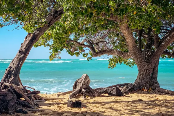 Home Swap Hawaii - Understanding Hawaii's Climate
