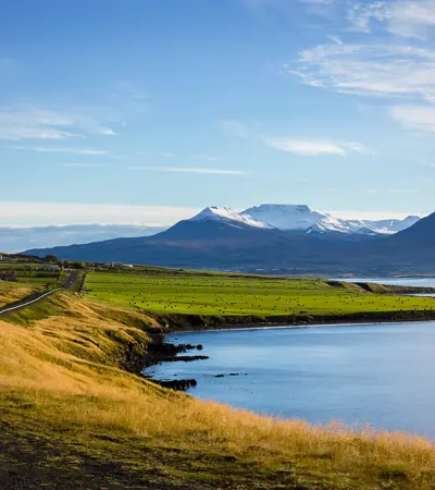 house swap in iceland