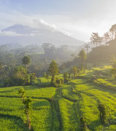 house swap in indonesia