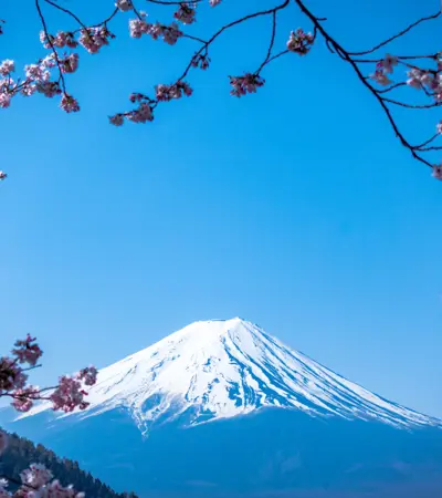 house swap in japan