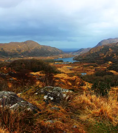 house swap in killarney