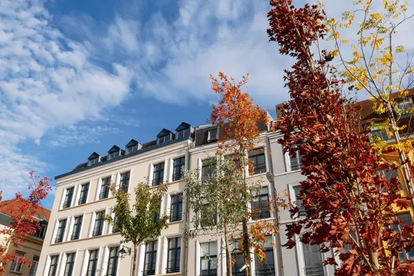 Home Swap Lille - Stay Productive with Lille's Reliable Wifi