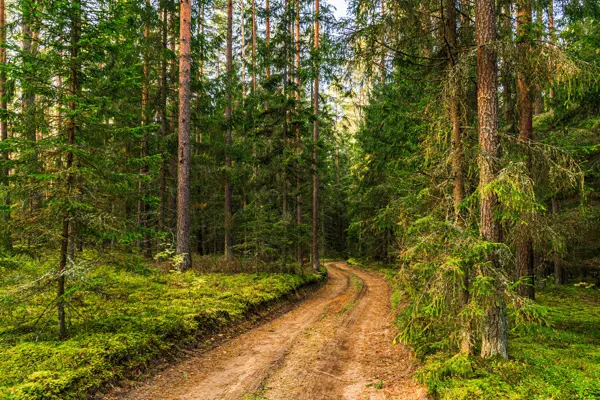 Home Swap Lithuania - Popular Locations