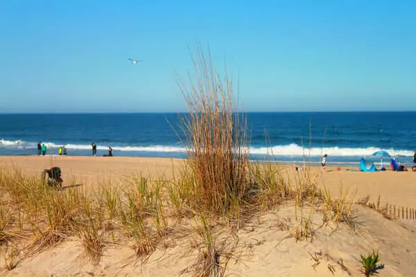 Home Swap Maryland - Remote Work Between Cities and Water