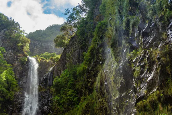 Home Swap Madeira - Experience the Natural Beauty of Madeira