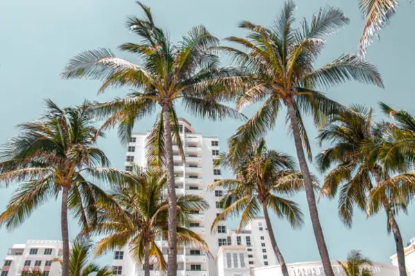 Home Swap Miami Beach - What to See and Do: Blending Work and Adventure