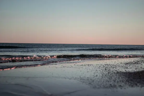 Home Swap Montpellier - Take a Dip in the Mediterranean Sea