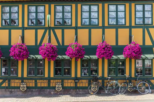 Home Swap Odense - Small-City Denmark Is Better When You Settle In