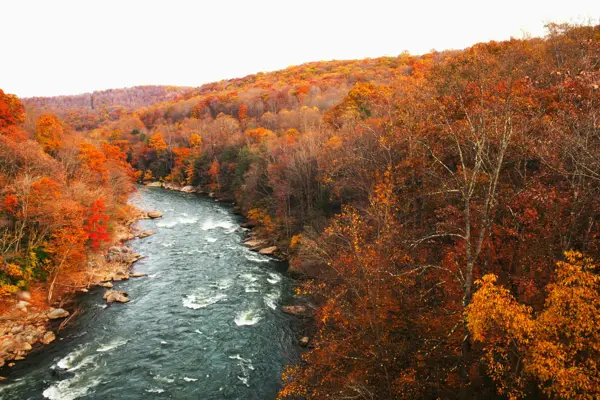 Home Swap Pennsylvania - Seasons for Museums, Mountains, and Markets