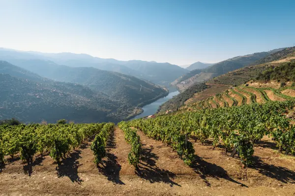 Home Swap Portugal - Bask in Portugal's Splendor