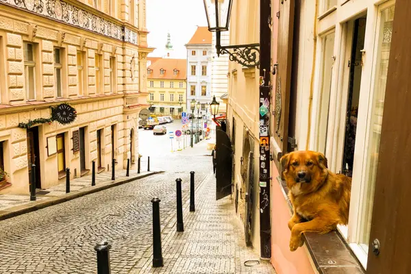 Home Swap Prague - Swap Homes and Work Remotely in Prague