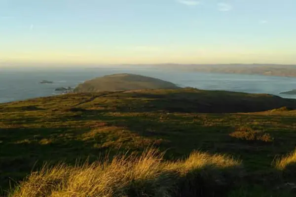 Home Swap San Rafael - A More Livable Bay Area Stay