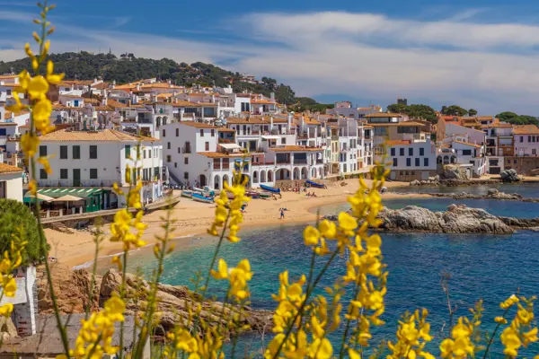 Home Swap Spain - Spain's Riches: Beyond the Surface