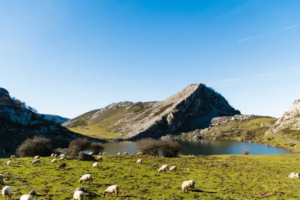 Home Swap Spain - Nature's Invitation to Explore