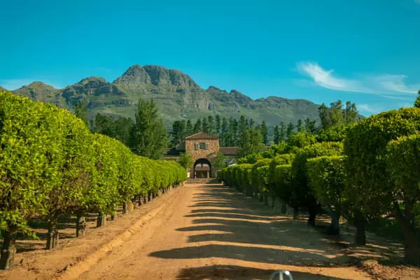 Home Swap Stellenbosch - The Winelands Are About More Than Tastings