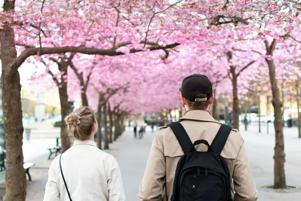 Home Swap Stockholm - Navigating Stockholm’s Seasons