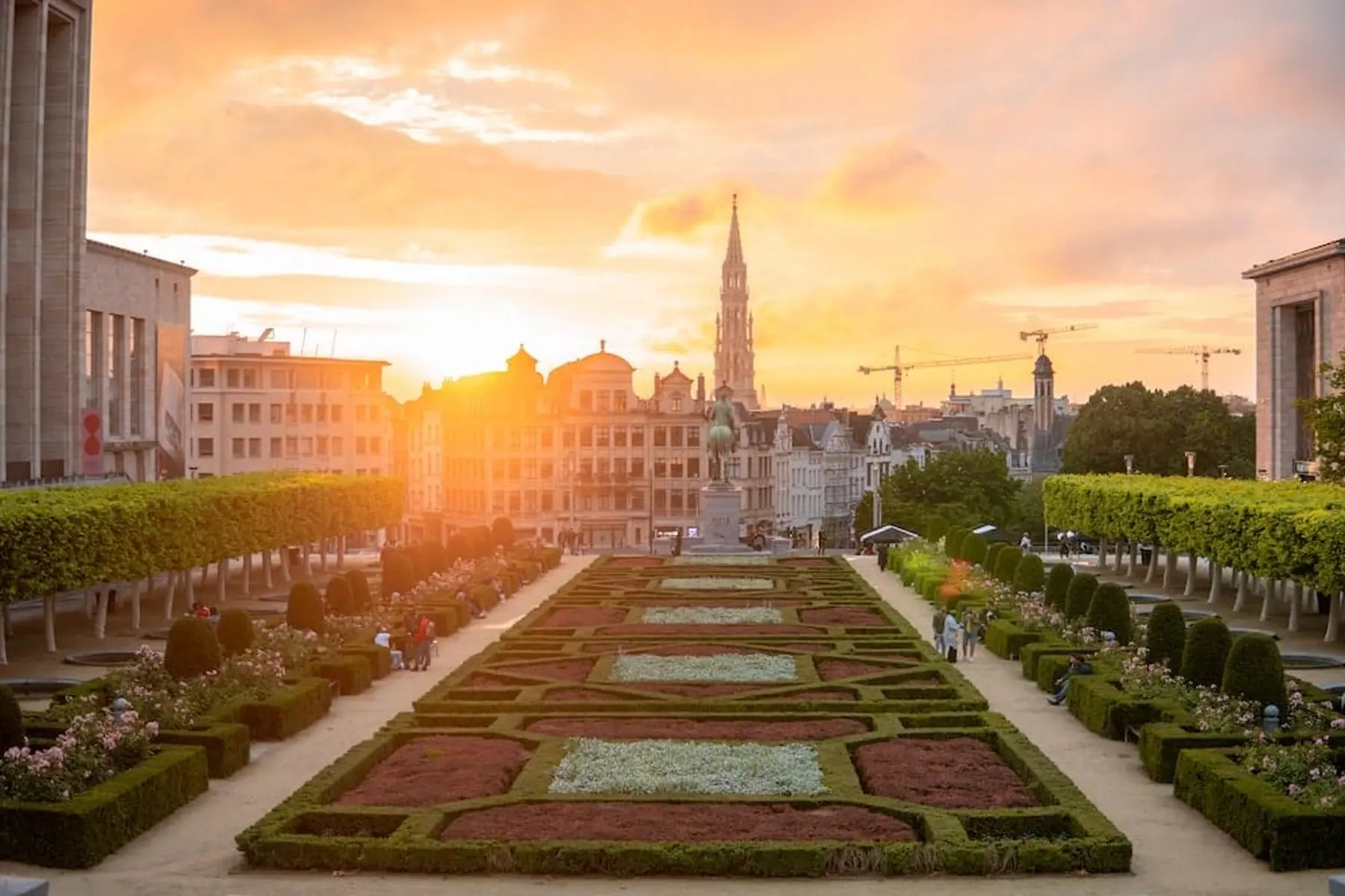 swaphouse work remotely in brussels
