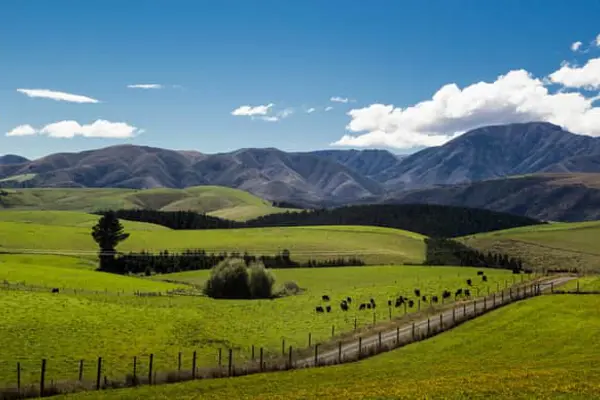 Home Swap Tauranga - Beaches, Markets, and Regional Detours