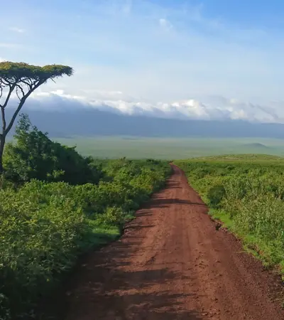 house swap in tanzania