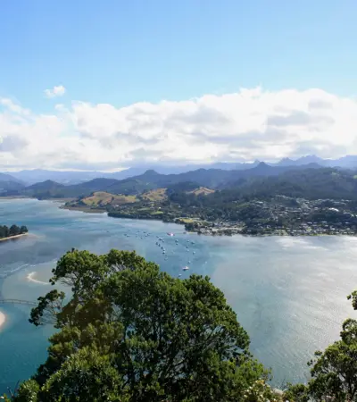 house swap in tauranga