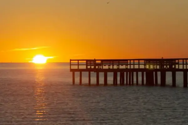 Home Swap Texas - Adventure Awaits: Explore the Wild Side of Texas