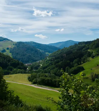 house swap in the-black-forest