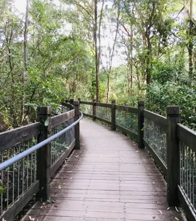 house swap in the-blue-mountains