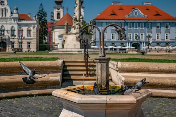Home Swap Timisoara - Discover Timisoara's Cultural Heritage