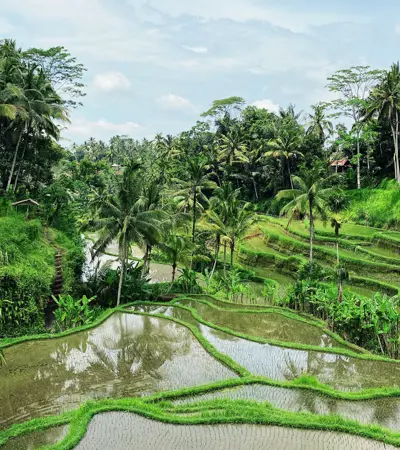 house swap in ubud