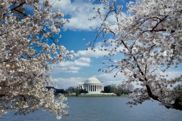 Home Swap Washington D.C. - Seasons and Best Times to Visit DC