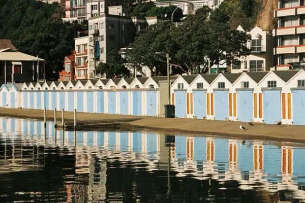 Home Swap Wellington - Why Choose Swaphouse in Wellington?